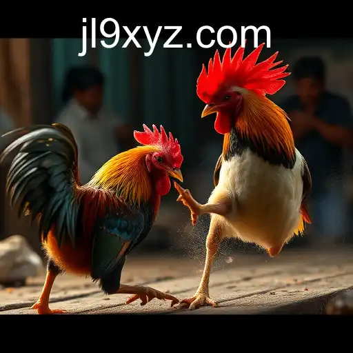 The Rise of Online Sabong: Exploring JL9's Influence in the Digital Cockfighting Arena